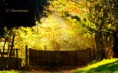/album/foto/cimg0454-jpg/